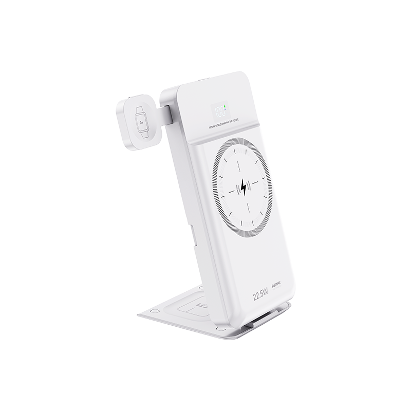 RPP-D3