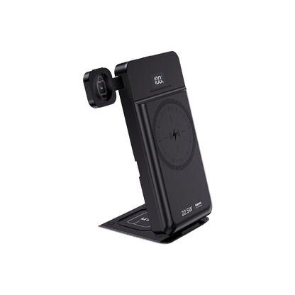RPP-D3