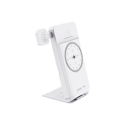 RPP-D3