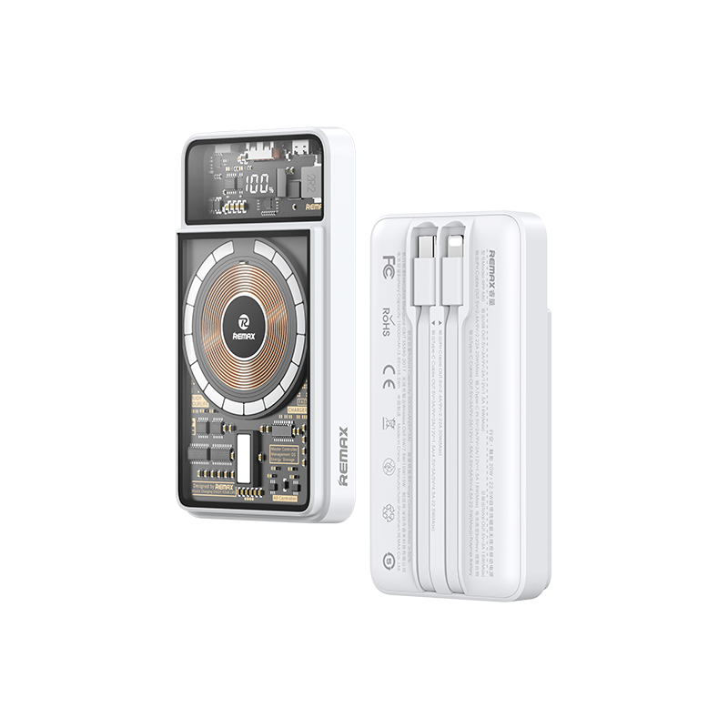 RPP-580
