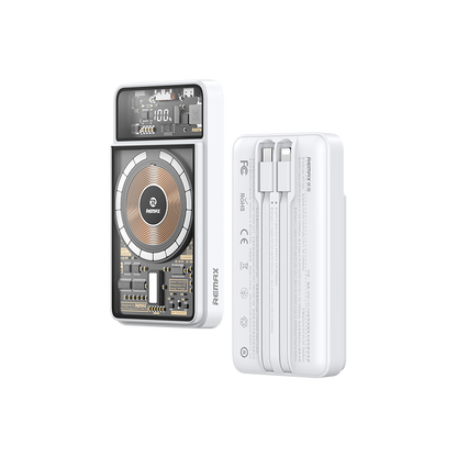 RPP-580