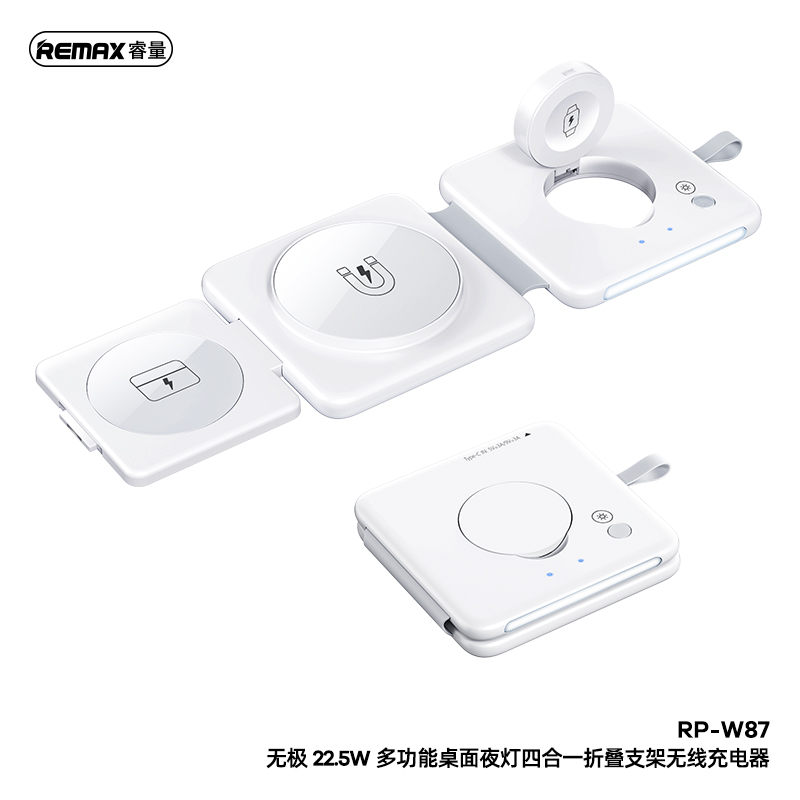 RP-W87